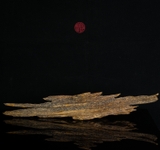 Trầm cảnh Kiến thiên nhiên cao cấp (44x8x8cm)