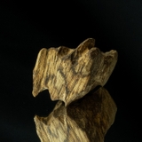 THANH KỲ NAM QUÝ HIẾM ( 5,4 gram )