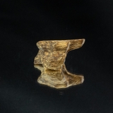 THANH KỲ NAM QUÝ HIẾM ( 1 gram )