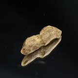 THANH KỲ NAM QUÝ HIẾM ( 1,5 gram )