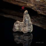 MẶT TRẦM SỚ NGANG CẬN CHÌM HIẾM