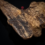 MẶT TRẦM SỚ NGANG CẬN CHÌM HIẾM