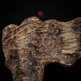 MẶT TRẦM SỚ NGANG CẬN CHÌM HIẾM