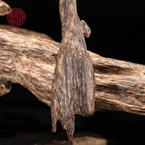 MẶT TRẦM KIẾN CHÌM CAO CẤP 2