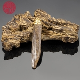 MẶT TRẦM CHÌM BỌC VÀNG DẠNG TỰ NHIÊN 06 (4,1 gram)