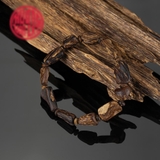 Vòng tay Trầm Hương chìm dạng hạt tự nhiên ( 8,88 gram )