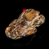 THANH KỲ NAM CHÌM NƯỚC QUÝ HIẾM (5G)