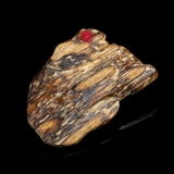 THANH KỲ NAM CHÌM NƯỚC QUÝ HIẾM (5G)