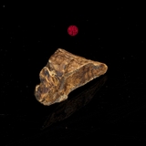 THANH KỲ NAM CHÌM NƯỚC QUÝ HIẾM (1,7G)