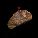 THANH KỲ NAM CẬN CHÌM QUÝ HIẾM (4G)