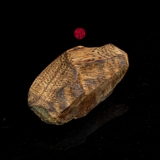 THANH KỲ NAM CẬN CHÌM QUÝ HIẾM (4G)