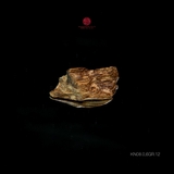 THANH KỲ NAM QUÝ HIẾM (0,6GR)