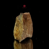 THANH KỲ NAM QUÝ HIẾM (0,8GR)