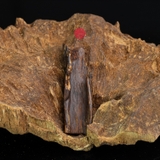 MẶT DÂY CHUYỀN TRẦM HƯƠNG CHÌM NƯỚC DÁNG TỰ NHIÊN (2,8G)