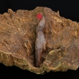 MẶT DÂY CHUYỀN TRẦM HƯƠNG CHÌM NƯỚC DÁNG TỰ NHIÊN (2G)