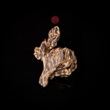 Mặt Trầm bông Khánh Hòa chìm nước ( 8,18g )