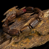 Vòng tay Trầm Hương cận chìm dạng hạt tự nhiên Hiếm ( size nam trung )