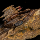 Vòng tay Trầm Hương cận chìm dạng hạt tự nhiên Hiếm ( size nữ )