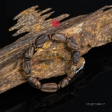 Vòng tay Trầm Hương cận chìm dạng hạt tự nhiên Hiếm ( size nam nhỏ )