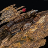 Vòng tay Trầm Hương cận chìm dạng hạt tự nhiên Hiếm ( size nam nhỏ )