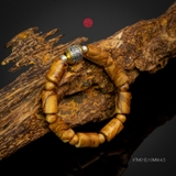 Vòng trầm hương trúc banh quầng 10 li mix charm bạc