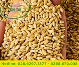 NẾP LỨC