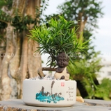 Vạn Niên Tùng Bonsai An Lạc