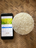 Lài Sữa túi 5kg