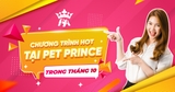 CHƯƠNG TRÌNH HOT TẠI PET PRINCE TRONG THÁNG 10