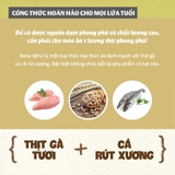 Thức ăn cho mèo Thịt gà & Cá hồi