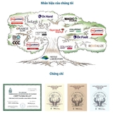 Son dưỡng môi hoa quả Fruit Kiss 3,5gr