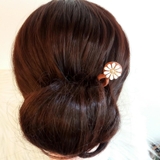 TRÂM CÀI TÓC GỖ - HOA CÚC 2