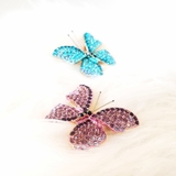 BƯỚM ĐÍNH HẠT