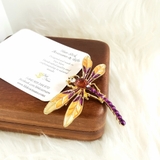 CHUỒN CHUỒN TÍM