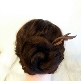 HOÀN ĐẾ PHƯỢNG LINH CẨM MỊCH HÚC PHƯỢNG