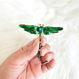 CHUỒN CHUỒN XANH