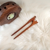 TRÂM CÀI TÓC CON MÈO (2 que)