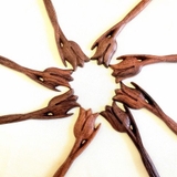 TRÂM CÀI TÓC " HOA TULIP"