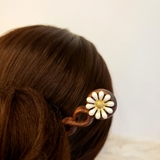 TRÂM CÀI TÓC GỖ - HOA CÚC 2