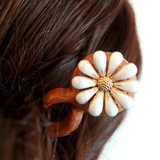 TRÂM CÀI TÓC GỖ - HOA CÚC 2