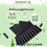 Máy làm Khay ươm hạt giống