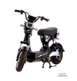 XE MÁY ĐIỆN DK BIKE 133M
