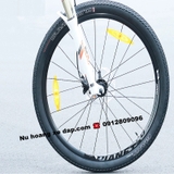 Xe Đạp Giant XTC 800 (2022)