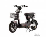 XE MÁY ĐIỆN DK BIKE 133M