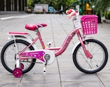 XE ĐẠP TRẺ EM THỐNG NHẤT TE 16-03