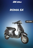 XE MÁY ĐIỆN ROMA SX