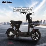 XE MÁY ĐIỆN DK BIKE 133M