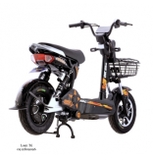 XE MÁY ĐIỆN DK BIKE 133M