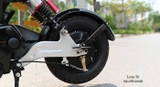 XE MÁY ĐIỆN DK BIKE 133M