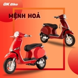 XE MÁY ĐIỆN ROMA SX